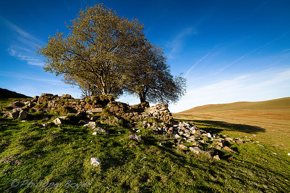Cantal -Cezallier