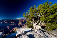 Grand Canyon - Arizona