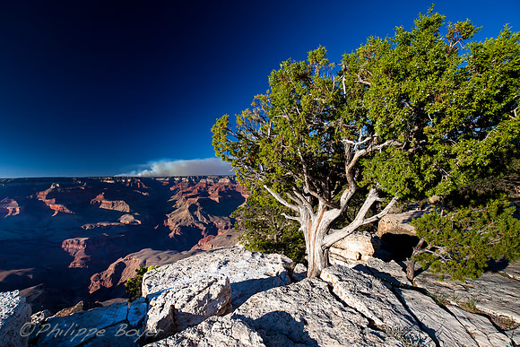 Grand Canyon - Arizona
