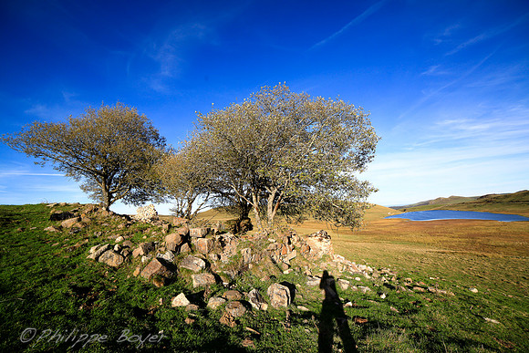 Cantal -Cezallier