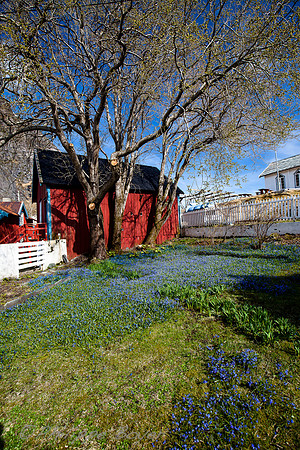 A village - Lofoten