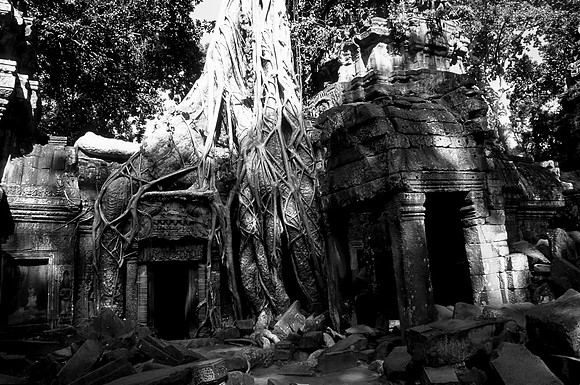 Angkor - Ta prohm