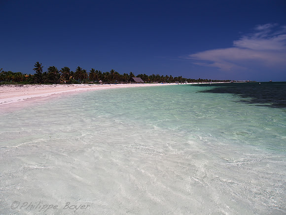 Cuba - Cayo Guillermo - Playa del medio