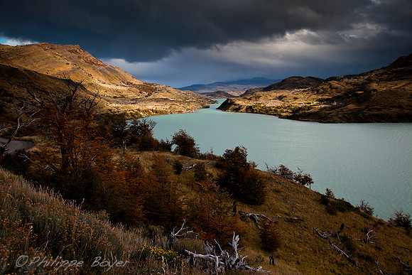 Torres del Paine -  Rio Paine