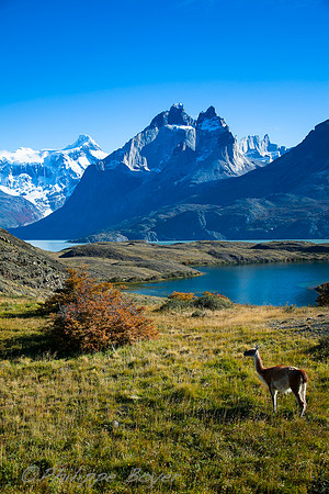 Lago Nordenskjold - Torres del Paine -