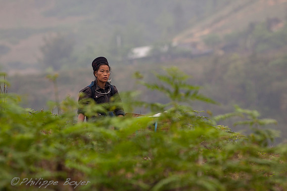 Black Hmong - Sapa