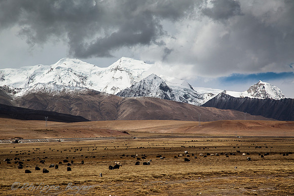 On the road to Namtso lake