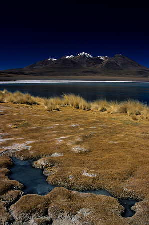 Laguna Hedionda -Eduardo Avaroa reserve - Sud Lipez
