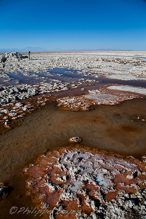 Atacama salar