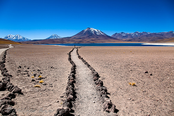 Laguna Miscanti - Chile