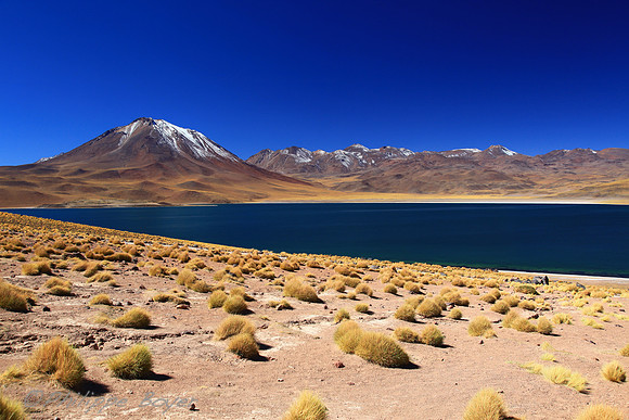Laguna miscanti - Chile