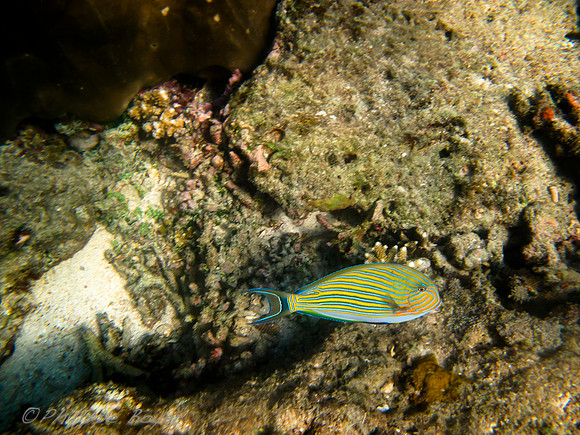 Underwater