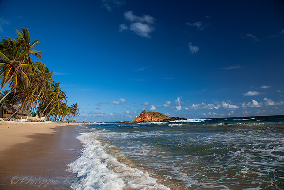Mirissa Beach