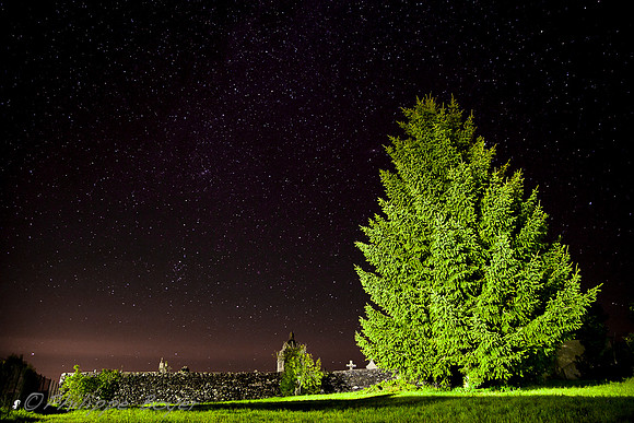 Night view