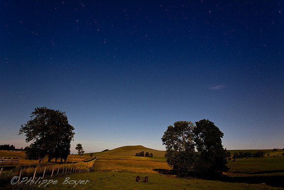 Night view