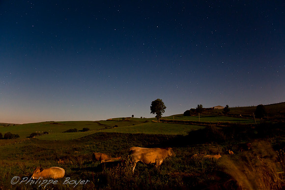 Night view