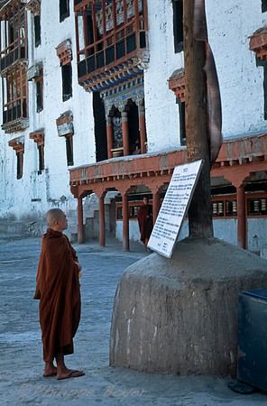 Hemis monastery - Ladakh