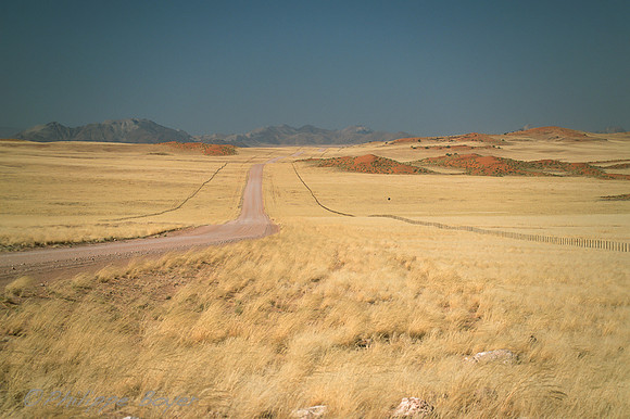 Namib desert