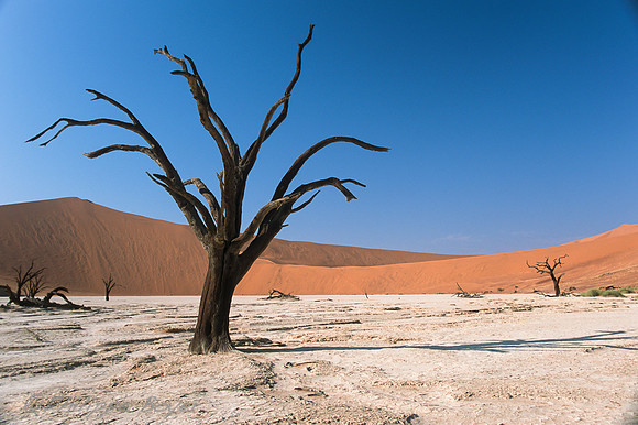 Dead Vlei - Namibia