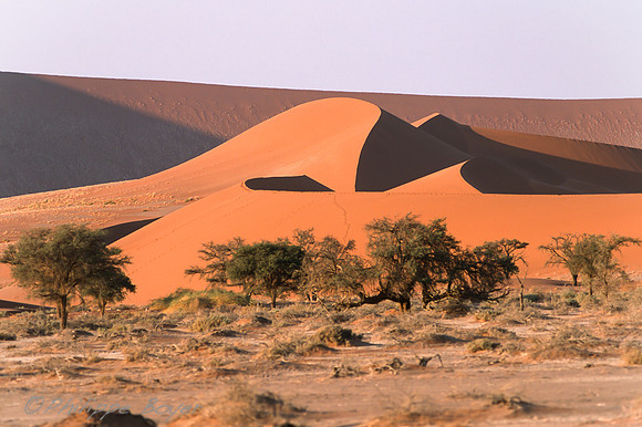 Sossusvlei - Namib desert