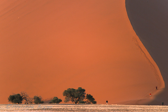 Sossusvlei - Namib desert