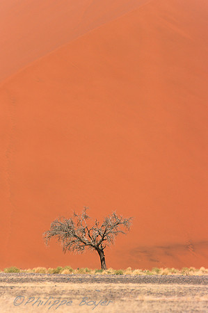 Sossusvlei - Namib desert