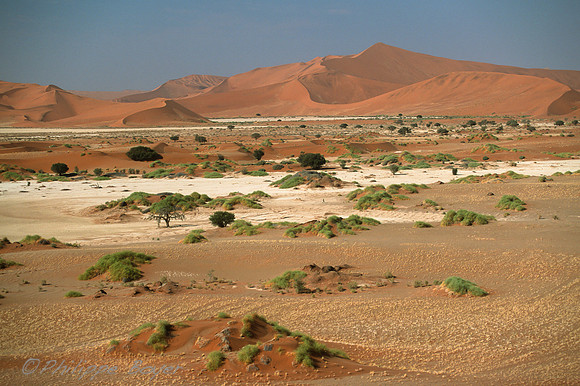 Sossusvlei - Namib desert