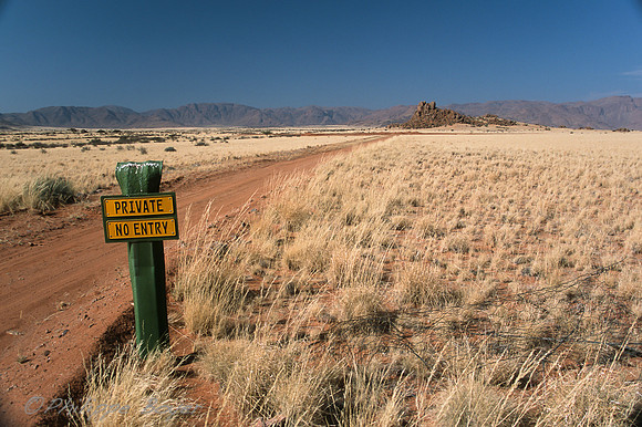 Namib desert