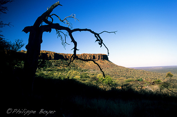 Waterberg