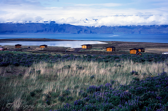 Husavik