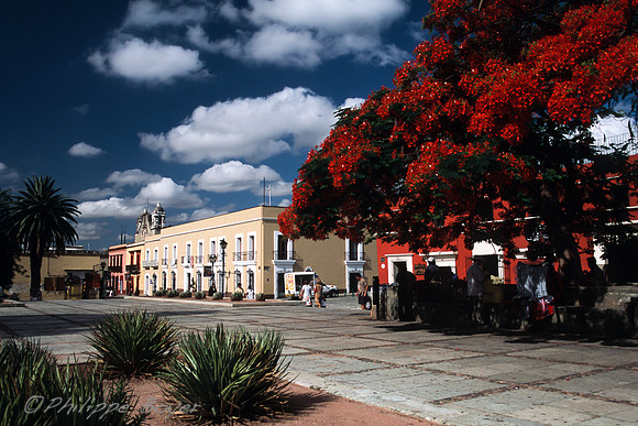 Oaxaca