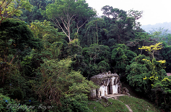 Palenque