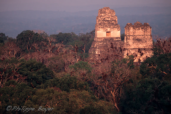Tikal - Guatemala