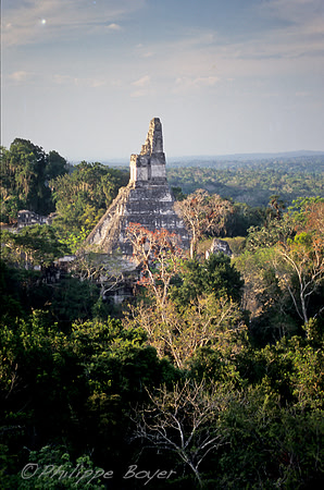 Tikal - Guatemala