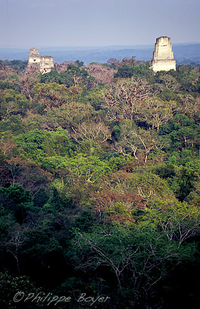 Tikal - Guatemala