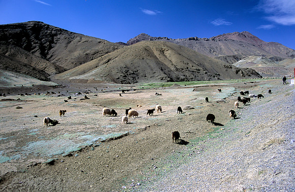 Atlas -Morocco