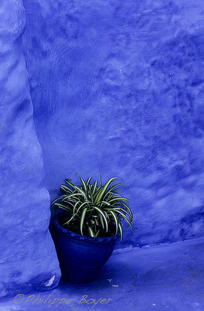 Chef chaouen - Moroco