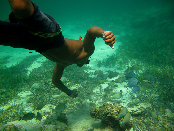 Snorkeling