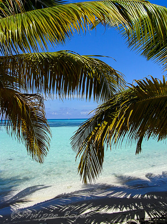 Saona island - Dominican republic