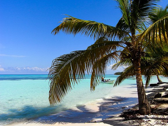 Saona island - Dominican republic