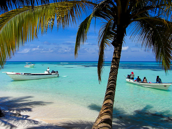 Saona island - Dominican republic