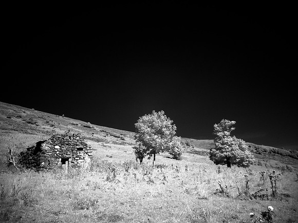 Cantal