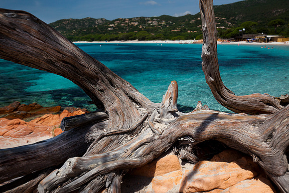 Corsica - Palombaggia