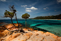 Corsica
