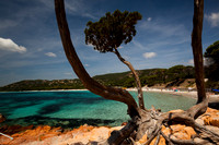 Corsica - Palombaggia