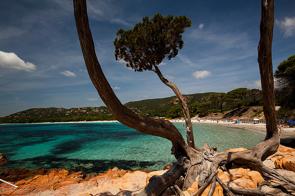 Corsica - Palombaggia
