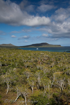 Floreana Island - Galapagos