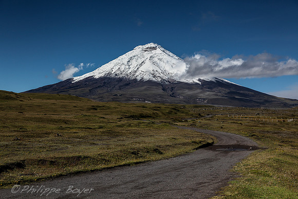 Cotopaxi national Park - Ecuador