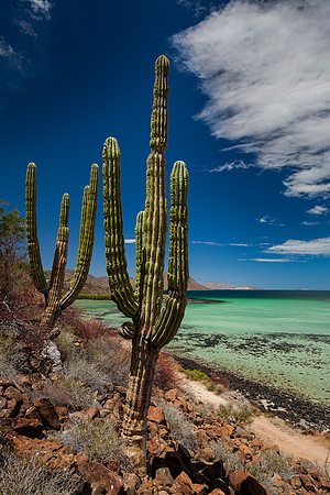 Mexico - Playa El requesón