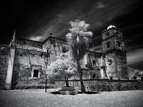 Mexique - Baja California Sur